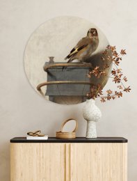 Wall Circle - Goldfinch - Premium Dibond Quality