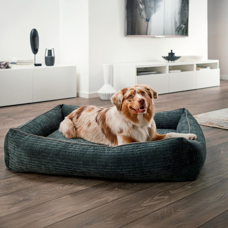 CLASSIC Hundebett - NOVA PETROL