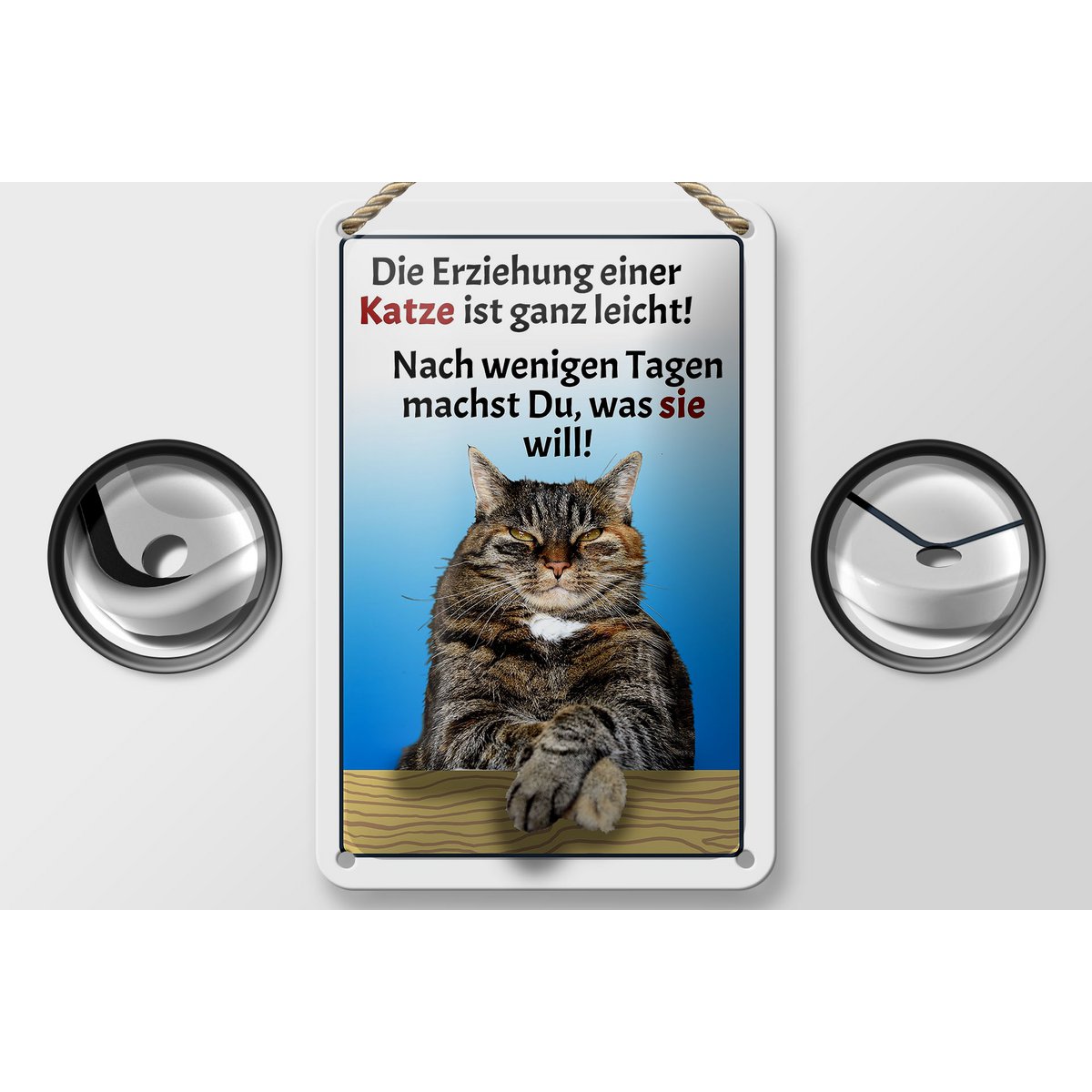 Tin sign saying 12x18cm raising a cat easy decoration