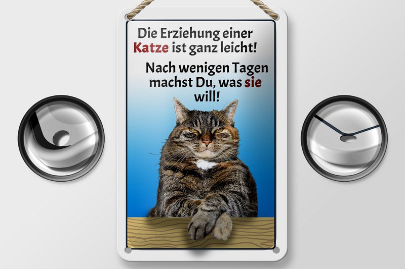 Tin sign saying 12x18cm raising a cat easy decoration