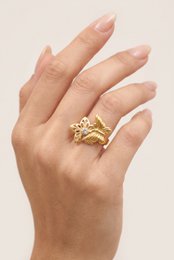Bague en acier inoxydable ajustable