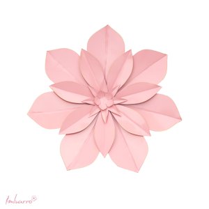 Flower Rosita