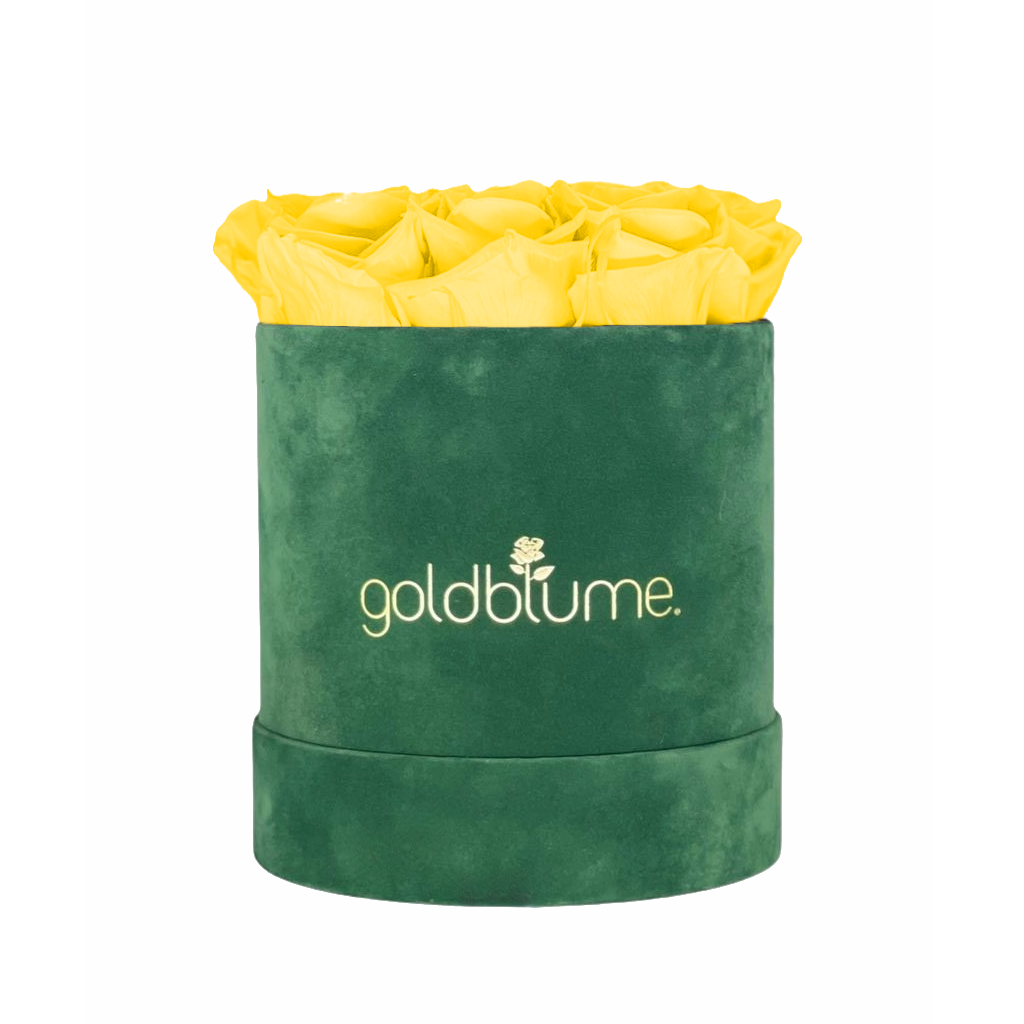 Velvet Green Collection