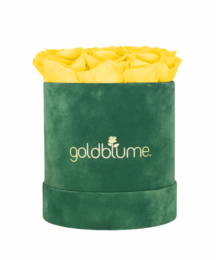 Velvet Green Collection