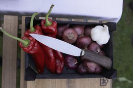 AUTHENTIC BLADES HEP, cuchillo de cocina asiático, longitud de hoja 16-20cm