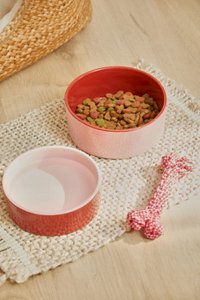 Sasha Pink Pet Bowl