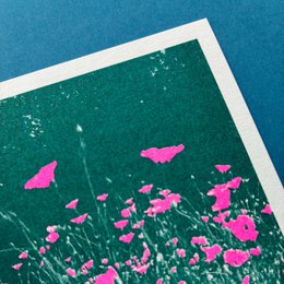 Riso Postkarte Kornblume, Risographie, DIN A6