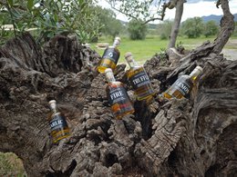 TRUFLA - Oliwa z Oliwek Z Czarną Truflą - 100ml