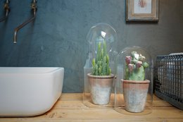 Hugo Stolp clear H28 D16.5