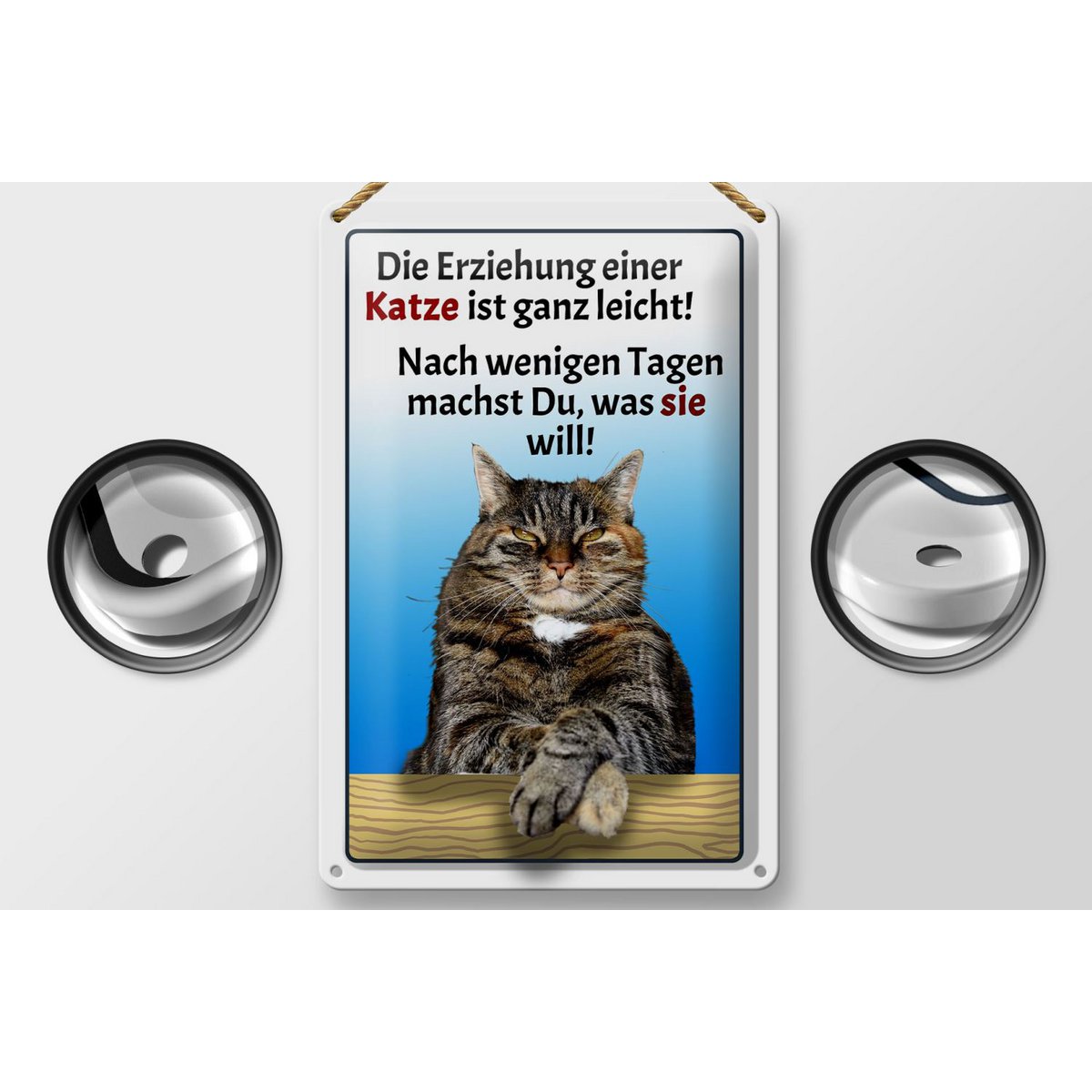 Blikken bordje met de tekst 20x30cm Het opvoeden van een kat is eenvoudig