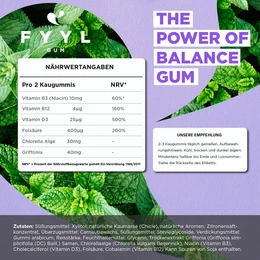 FYYL GUM - THE POWER OF BALANCE - 20 chewing gum boxes per pack - natural chewing gum