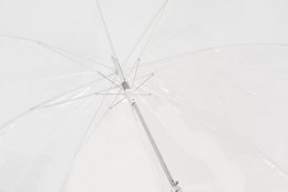 Großer automatischer transparenter Regenschirm | Winddicht | C-Sammlung