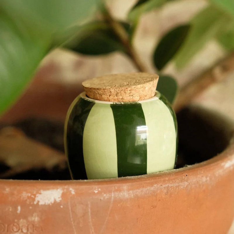 Olla - Green e Green Striped