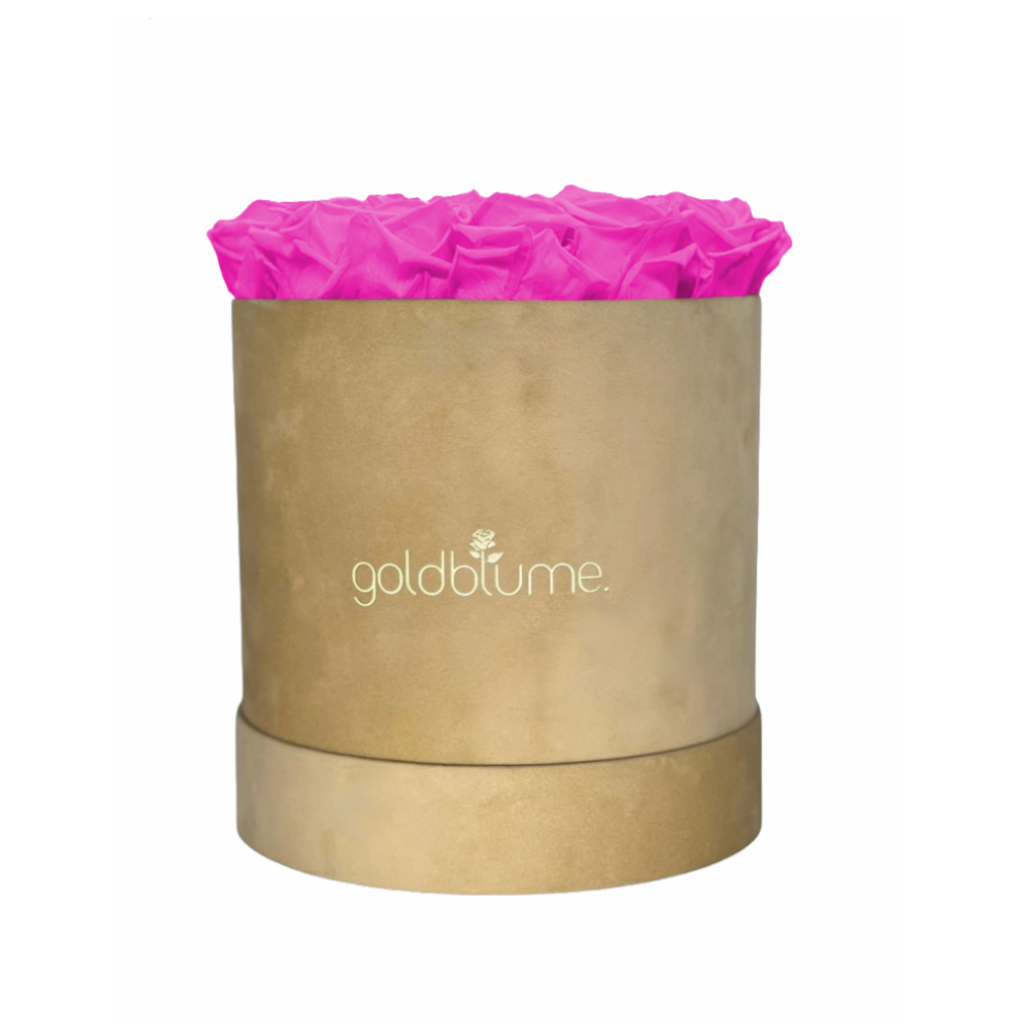 Colección Terciopelo Beige