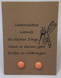 Toll stainless steel earring on card in German language (set10)