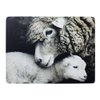 Placemat sheep and lamb 30x40cm (4)