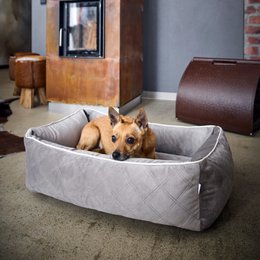 OXFORD I CLASSIC HUNDEBETT