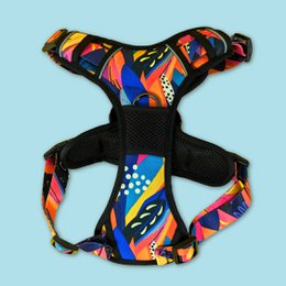 Panache Comfort Y Harness