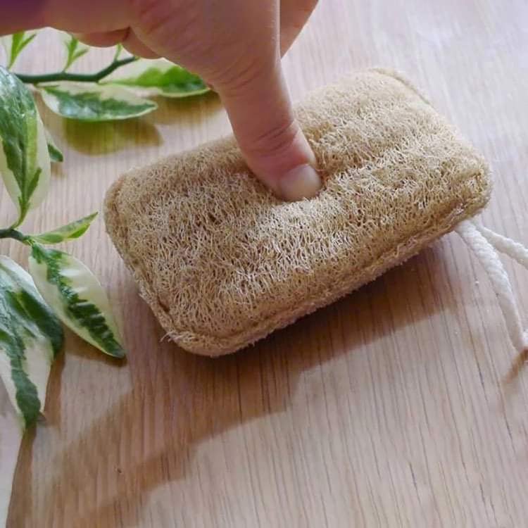 Spugna di luffa naturale e biodegradabile