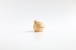 De kleintje vogel