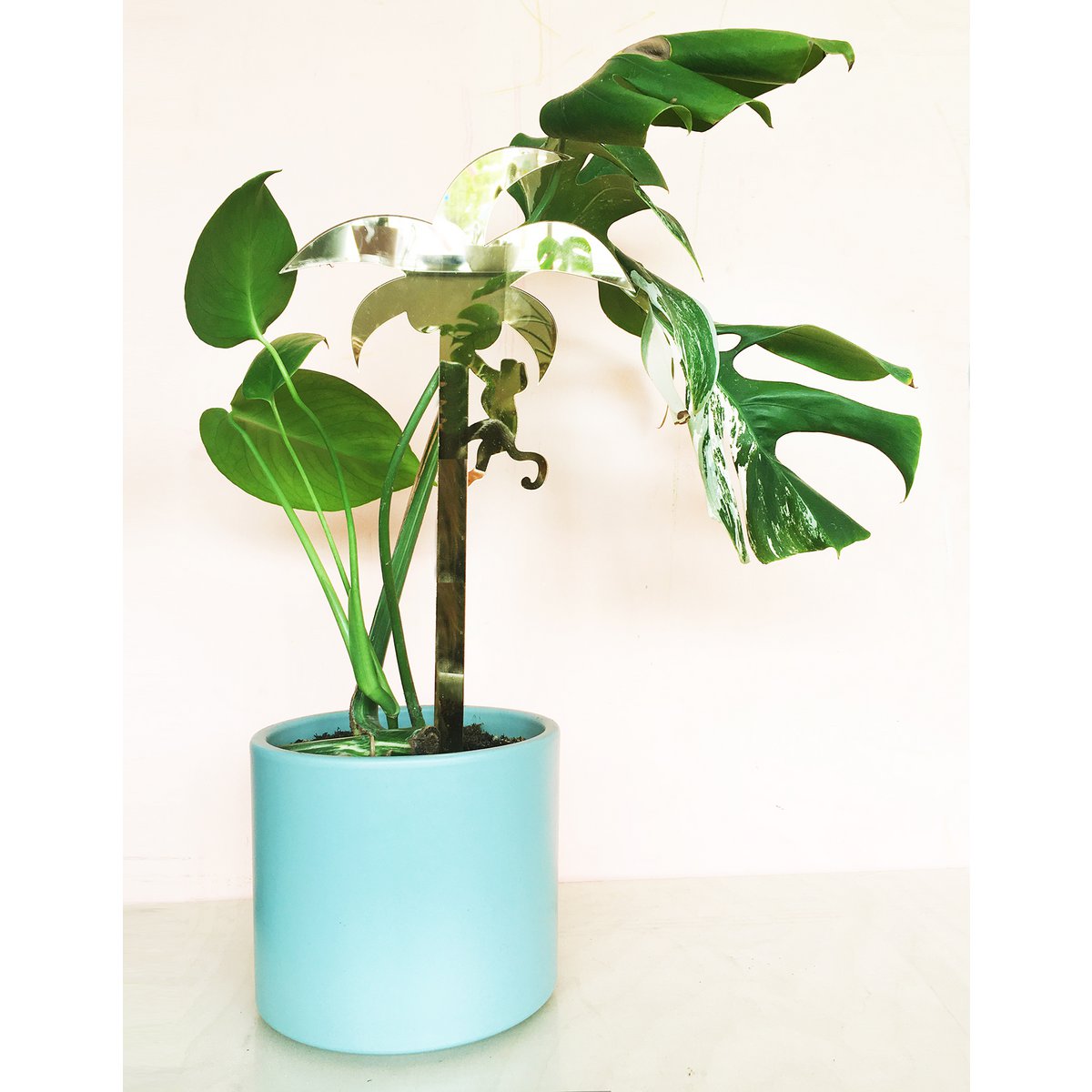 Plantstand L Palm