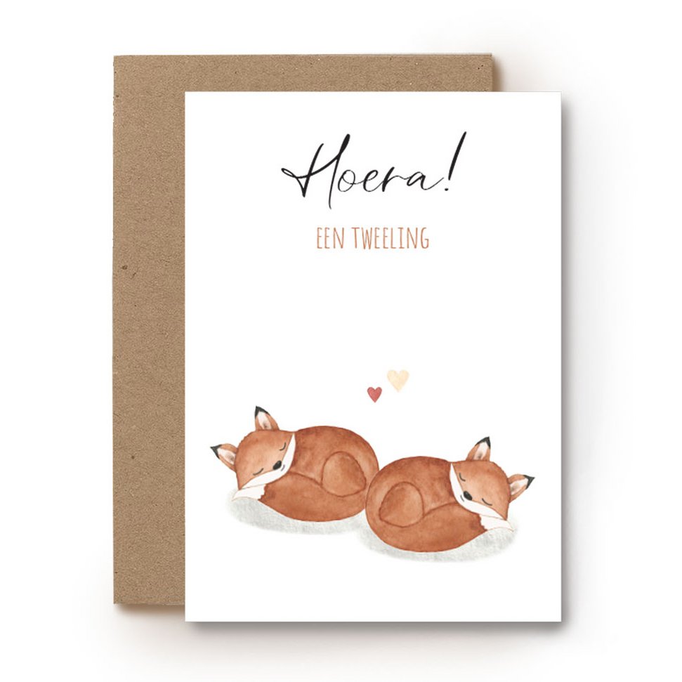 Hoera! Een Tweeling