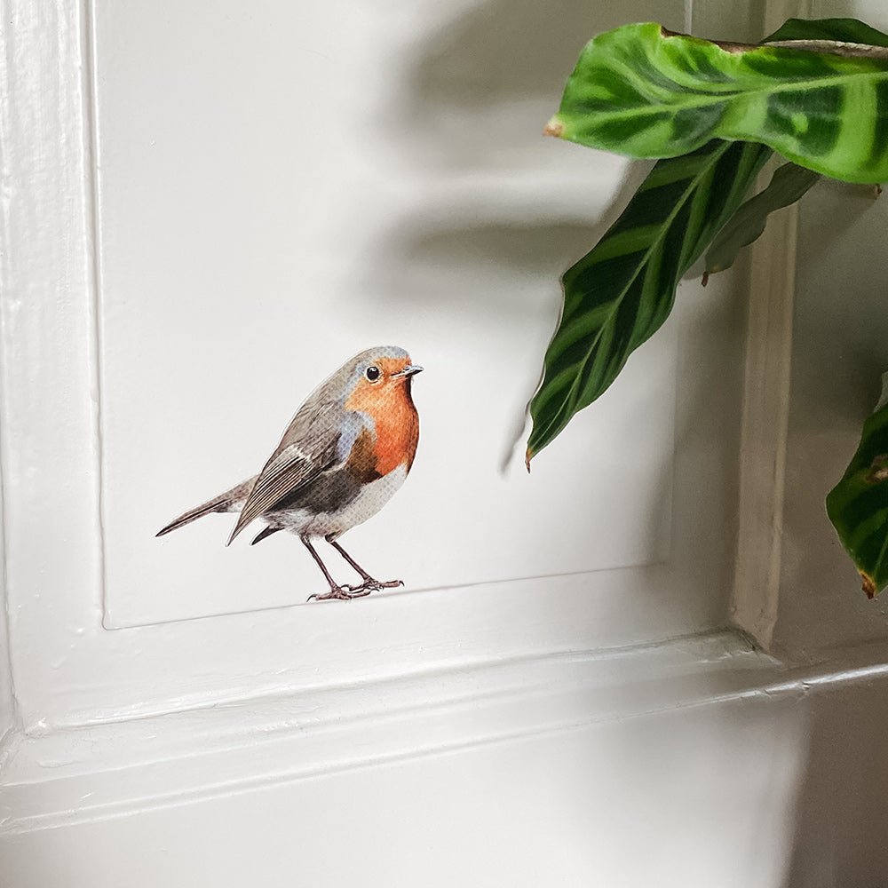 Sticker mural rouge-gorge (couleur)