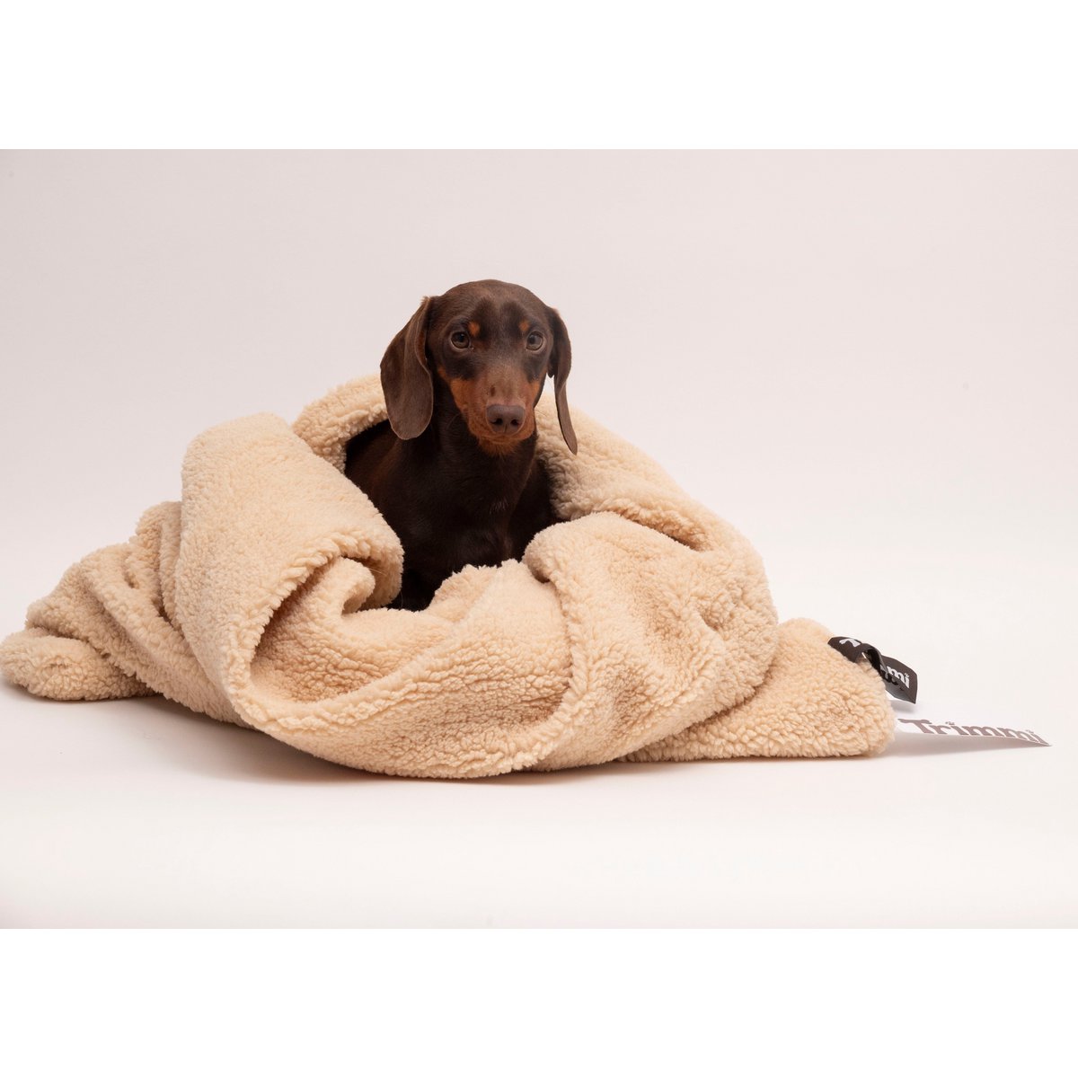 Teddy Cuddle sovepose beige