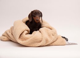 Teddy Cuddle sovepose beige