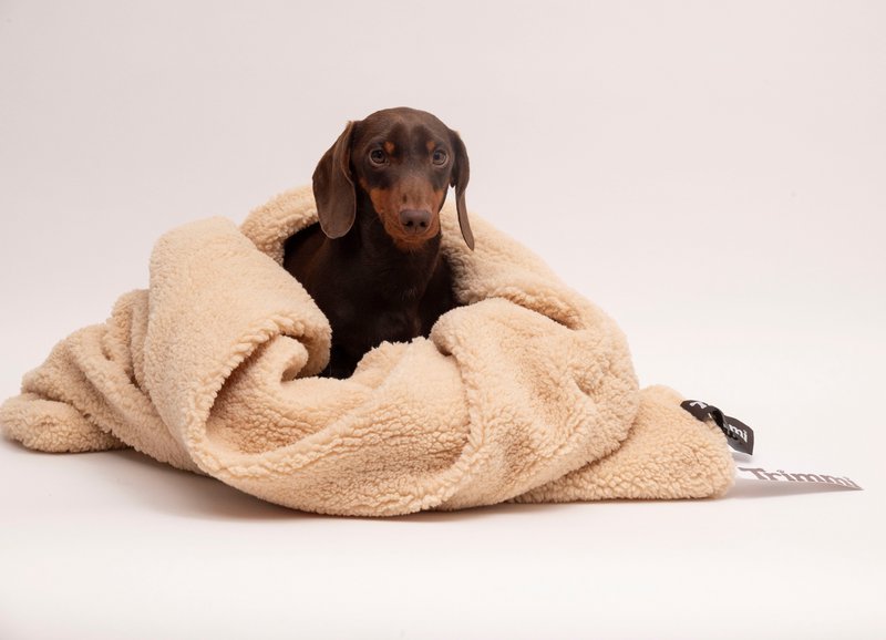 Teddy Cuddle sovepose beige