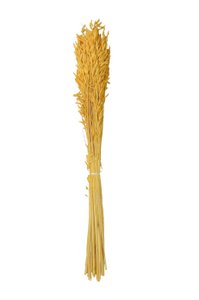 OATS