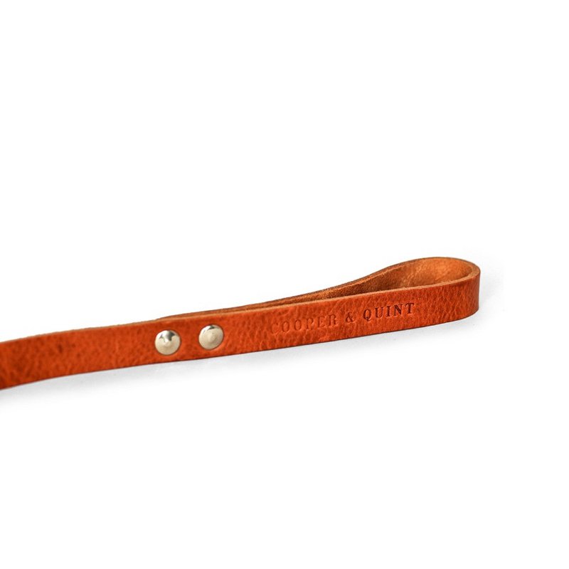 No fuss dog leash | Camel