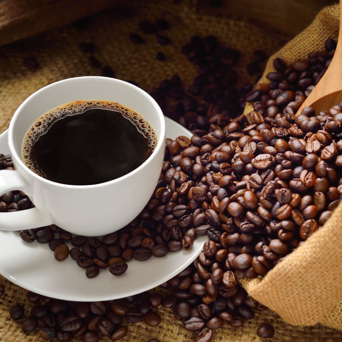 Rotierender Nespresso-Kapselhalter Fackelmann Petit Déjeuner