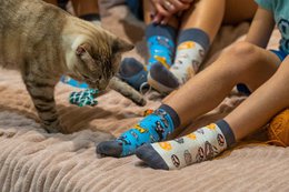 Kindersocken - Katzen