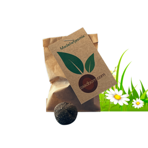 1 seed bomb in bag: daisy mix