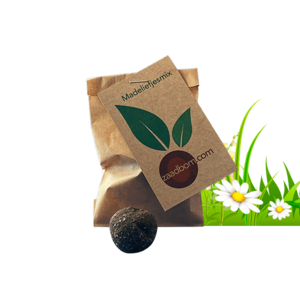 1 seed bomb in bag: daisy mix