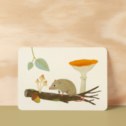 Postcard | Mouse & mushrooms