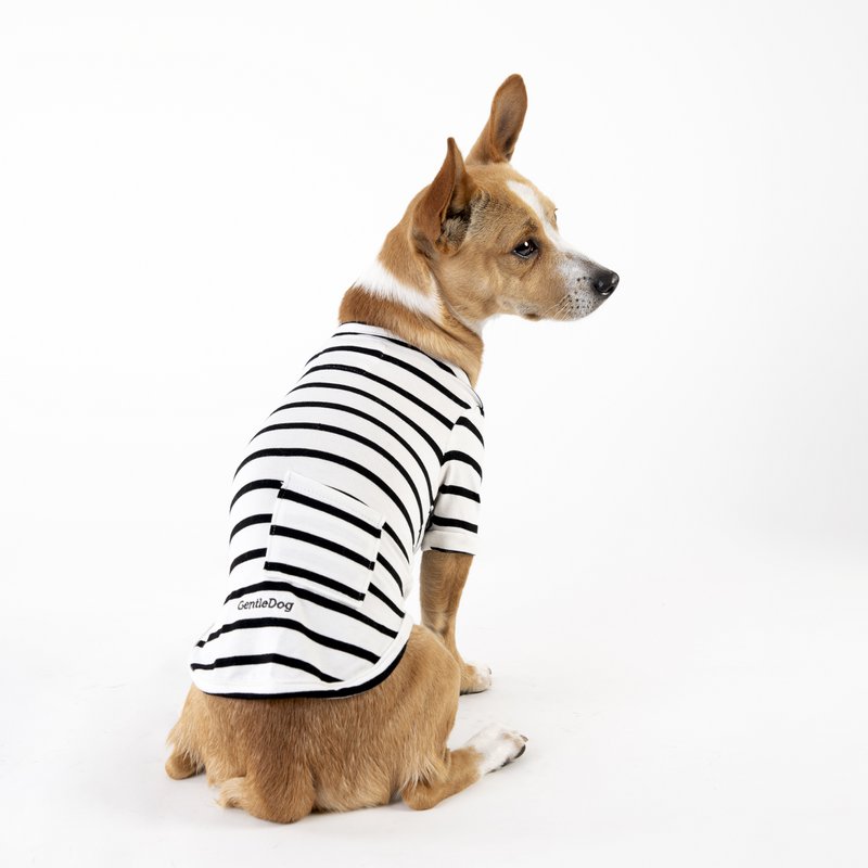 Camiseta Baloo