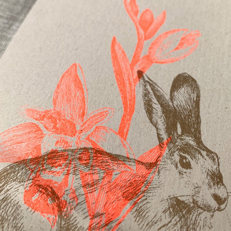 Postcard / Bunny with Daffodil / Risography