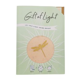 Gift of Light  | Display