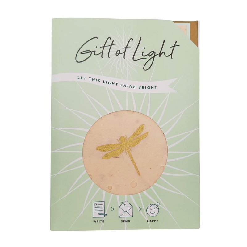 Gift of Light  | Display