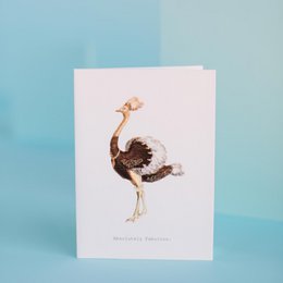 Absolutely Fabulous Greeting Card Copy