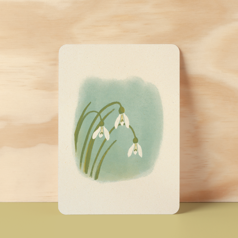 Postcard | Snowdrops