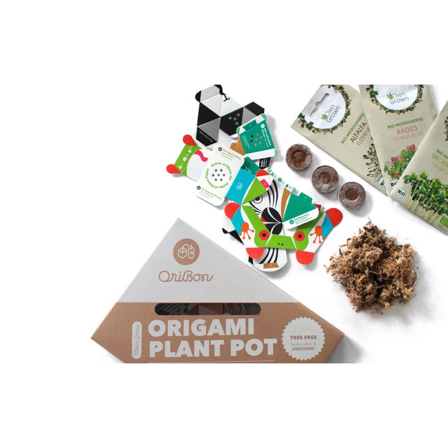 Kit Urban Jungle - Colección animales de la selva tropical