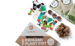 Urban Jungle Kit - Collectie regenwouddieren