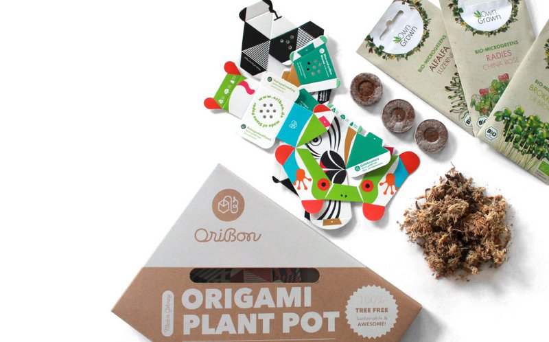 Urban Jungle Kit - Collectie regenwouddieren