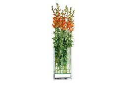 Decade vase S