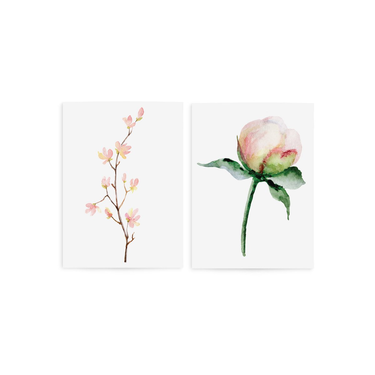 Rose Spring set