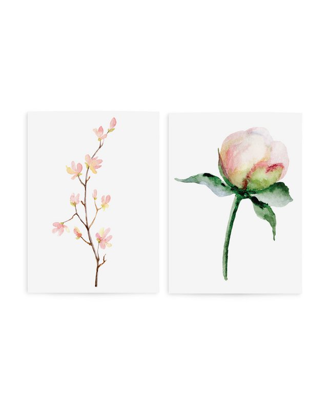 Rose Spring set