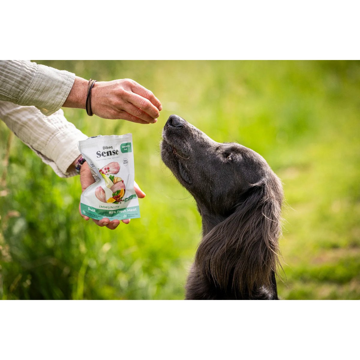 DIBAQ SENSE Immunité Canard 100g